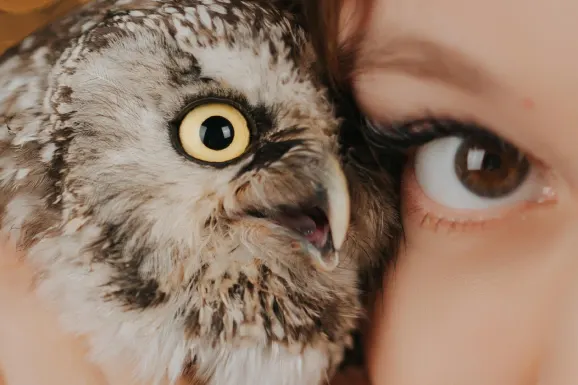 Casino Lucky 31 Support